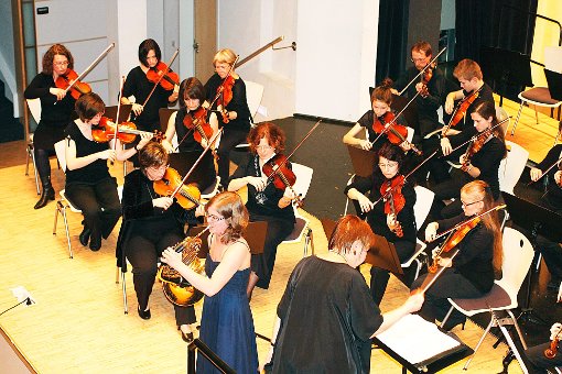 Die Hornistin Miriam Zimmermann hat die Orchesterfreunde Albstadt bei deren Konzert begleitet. Foto: Miller Foto: Schwarzwälder-Bote