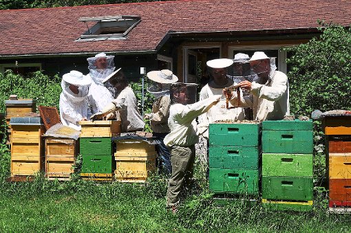 Einen Blick in das faszinierende Leben der Honigbienen können Interessierte beim Tag der Imkerei am Sonntag, 5. Juli, von 11 bis 16 Uhr bei den Villinger Bezirksimkern werfen. Wer möchte, kann in einen der bereitliegenden Schutzanzüge schlüpfen.  Foto: Kraft Foto: Schwarzwälder-Bote