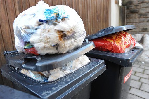 Der Müll stapelt sich bereits: Seit einer Woche wird die Müllabfuhr  in manchen Straßen vergeblich erwartet.   Foto: Hopp