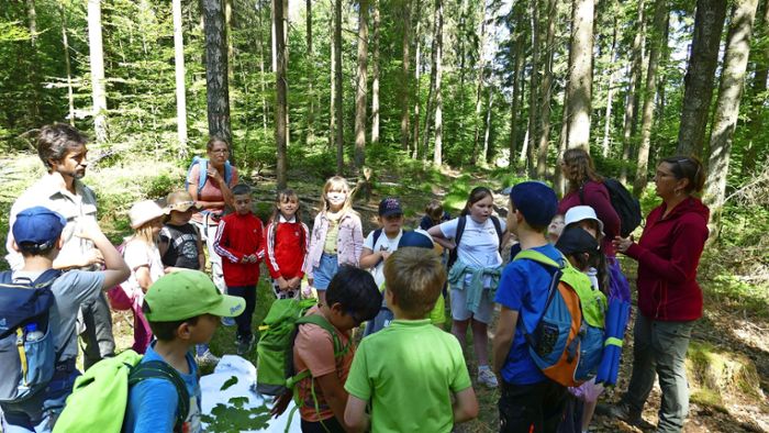 Grundschüler aus Pfalzgrafenweiler lernen den Wald kennen