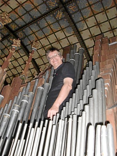 Matthias Krampe inmitten der Orgelpfeiffen Foto: Schwarzwälder-Bote