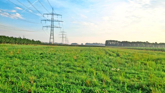 Altenheimer Landwirt plant Photovoltaik-Anlage auf Hühnerauslauf