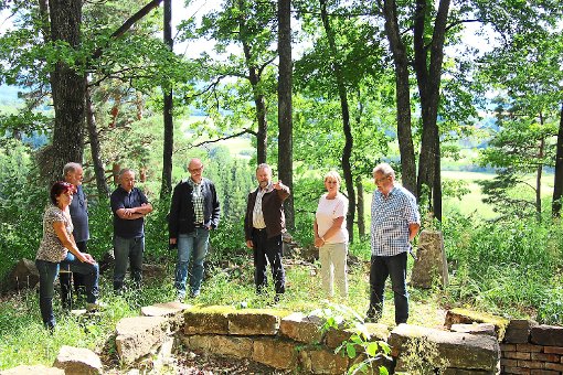 Der Schwäbische Heimatbund machte sich vor Ort sein eigenes Bild über die Fortschritte im Waldbad Zollern. Fotos: Wahl Foto: Schwarzwälder-Bote