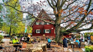 Bad Teinach-Zavelstein: So lief das Tourismus-Jahr für die  Stadt