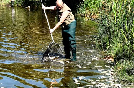 Erneut hat Gift Fischen im Oberen Neckar bei Deißlingen den Garaus gemacht. Foto: imago/Starmedia