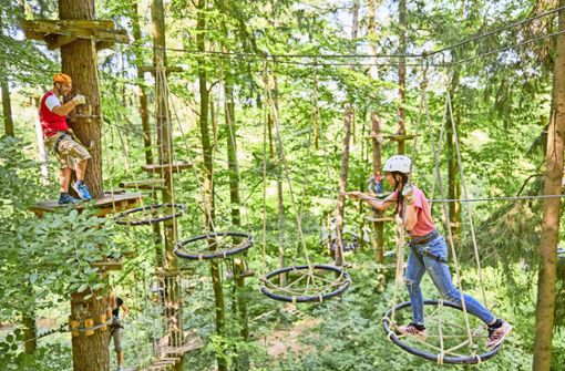 Im Klettergarten „Abenteuer im Wald“ können sich Besucher in Höhen von bis zu 16 Metern durch die Bäume bewegen. Foto: Klettergarten