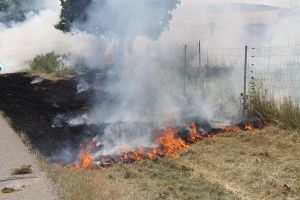 Am Mittwochmittag hat auf der A 81 zwischen Bad Dürrheim und Tuningen eine Wiese gebrannt. Der Brand wurde durch Mäharbeiten ausgelöst.  Foto: kamera24.tv