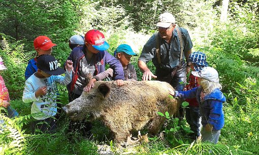 Heide und Rolf Dittus hatten ein Waldstück mit Tierpräparaten ausgestattet, so dass die Kinder beispielsweise mit einem ausgestopften Wildschwein auf Tuchfühlung gehen konnten. Foto: Dittus Foto: Schwarzwälder-Bote