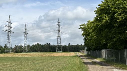 Im Waldgebiet hinter dem Jettinger Umspannwerk soll bis 2026 ein Windkraftprojekt mit fünf Windrädern entstehen. Foto: Priestersbach