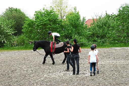 Die Kinder der Spielgruppe der Reitervereinigung zeigen Geschick auf dem Pferderücken. Foto: Hertle Foto: Schwarzwälder-Bote