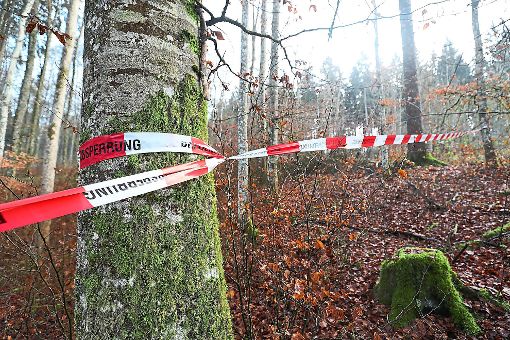 Im Wald bei Oberkatzensteig wurden menschliche Überreste gefunden. (Symbolfoto) Foto: Eich