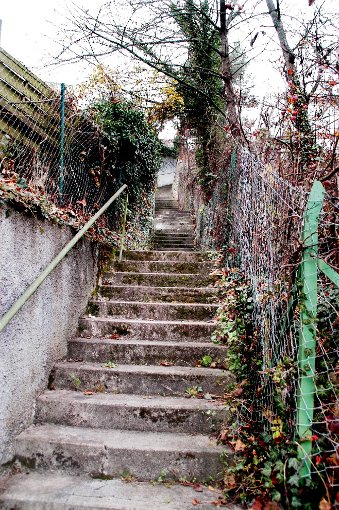 Diese Treppe führt von der Altstadt in Richtung Rosen- und Skulpturengarten. Foto: Hertle Foto: Schwarzwälder-Bote