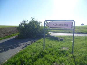 Eines von mehreren Beispielen: Ein unerlaubt gefällter Baum zwischen Emmingen und Jettingen.  Foto: Polizei