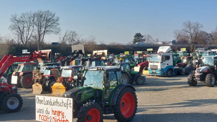 Hunderte Bauern bevölkern Offenburg