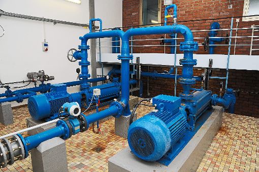 Die Pumpen im Wasserwerk im Schleifenloch  müssen ersetzt werden.   Foto: Ziechaus Foto: Schwarzwälder-Bote