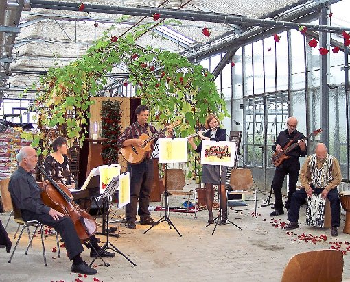 Mitglieder der Gruppe Cocktail Stravagante musizieren am 27. September in der geschmückten Rösengärtnerei Sattler und Weber. Foto: Archiv Foto: Schwarzwälder-Bote