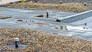 Turn- und Festhalle Neubulach: Dach muss saniert werden – sonst droht die Schließung