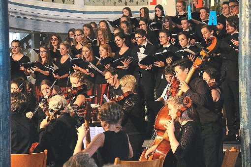 Beim Musiksommer 2015 konzertierten Landesjugendbarockorchester und die Christophorus-Kantorei gemeinsam. Foto: Stadt Foto: Schwarzwälder-Bote