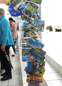 Alle 158 Postkarten sind in der Aula der Villingendorfer Schule vereint (hier eine kleine Auswahl).  Foto: Hölsch Foto: Schwarzwälder-Bote