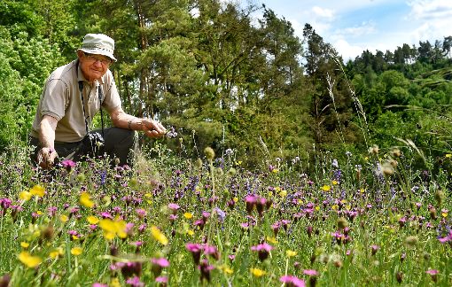Volkmar Rieber steht an einer besonderen Horber Wiese, auf der selten gewordene Wiesenblumen gedeihen. Fotos: Hopp Foto: Schwarzwälder-Bote