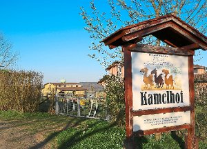 Im Grundsatz stimmte der Ebhauser Gemeinderat den Plänen zu, auf dem Areal des abgebrannten Kamelhofs eine Freizeitanlage zu errichten.  Foto: Priestersbach