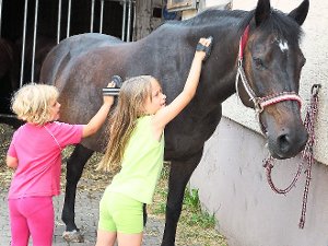 Beim Putzen schlossen die Kinder Freundschaft mit den Pferden auf dem Rosenhof. Foto: Stocker Foto: Schwarzwälder-Bote