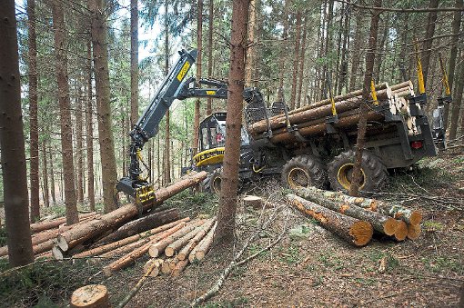 19 000 Festmeter Holz werden im kommenden Jahr aus dem Blumberger Wald geerntet. Foto: Burgi Foto: Schwarzwälder-Bote