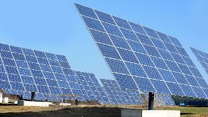 Fuchtel sieht kein Risiko für Solarpark Reute