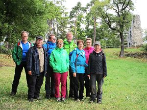 Die Wanderer um Heinz Roth haben sich zu einem Stadtbummel in Engen zusammengefunden. Foto: Lissy Foto: Schwarzwälder-Bote