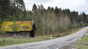 Straßensanierung bei Rötenberg: Mit weniger Aufwand mehr Kilometer