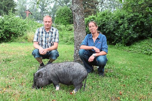 Thomas und Tanja Mandler führen den ersten Tierrettungsdienst im Zollernalbkreis. Zu ihren vielen Tieren gehört auch Hausschwein Schnitzel. Foto: Müller Foto: Schwarzwälder-Bote
