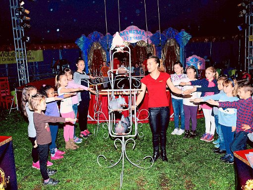 Seit Montag läuft das Zirkus-Projekttraining von Höfener Kindern im Zirkuszelt bei der Gemeindehalle. Foto: Ziegelbauer Foto: Schwarzwälder-Bote