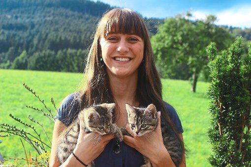 Die Katzen Simba und Balu sind als Bauernhof-Katzenbabys zu Isabelle Vollmers  privaten Tierschutzorganisation gekommen. Foto: Animal SOS