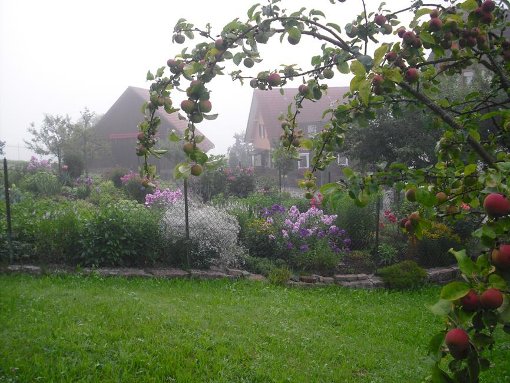 Idyllischer Garten lädt zum Verweilen ein: In Karin Gaisers Oase vor der Haustür gedeiht eine Vielfalt von Blumen und weiteren Pflanzen. Foto: Gaiser