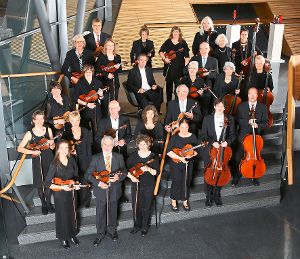 Musik aus Britannien lässt das Kammerorchester Balingen beim Konzert am kommenden Sonntag erklingen.  Foto: Privat Foto: Schwarzwälder-Bote
