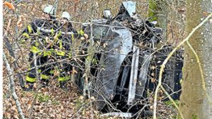Wrack im Wald: Rund 40 Mieter tief stürzte ein Auto am Sonntagnachmittag auf dem Langenhard die Böschung hinab. Foto: Bender