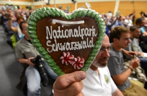 Für den geplanten Nationalpark Nordschwarzwald sind 7,2 Millionen im Nachtragshaushalt veranschlagt. Foto: dpa