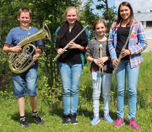 Mit dem D1-Lehrgang nahmen Jungmusiker der Böhringer Harmonie eine hohe Hürde.  Foto: Harmonie Foto: Schwarzwälder-Bote