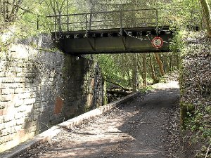 Zu den vorbereitenden Maßnahmen für die Sanierung der Tälesbach-Deponie gehört die Umlagerung der Bahnbrücke hinter der Fuchsklinge.  Foto: Hölle