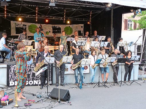 Matthias Schriefl (vorne links) und die Musiksommer-Bigband sorgten für beste Laune. Foto: Stadler