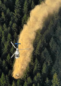 Im Bereich Würzbach und Agenbach ist ab heute ein Hubschrauber unterwegs, um den Wald zu kalken. Foto: Archiv