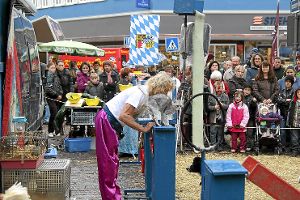 Der Zirkus Liberta wird beim verkaufsoffenen Sonntag wieder die Attraktion auf dem Marktplatz sein. Hier soll eine Katze durch den Ring springen.  Foto:  Steinmetz