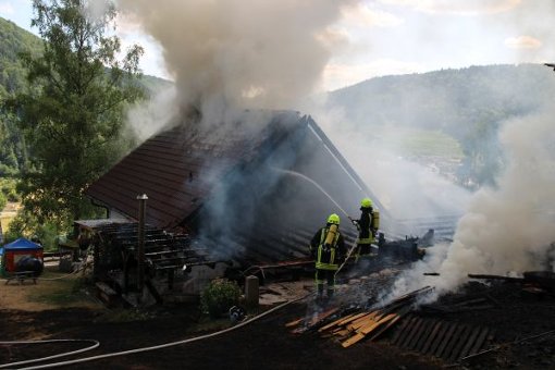Ein Brand am Hopfauer Sommerberg hat am Mittwochnachmittag ein Wohnhaus zerstört. Das Feuer brach in einem der beiden Schuppen direkt am Waldrand aus und griff auf das Gebäude über. Foto: Steinmetz