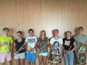 Viele junge Musiker aus Steinach haben das Leistungsabzeichen in Silber und Gold erworben. Foto: Verein Foto: Schwarzwälder-Bote