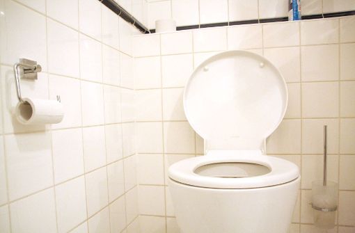 Die Unbekannten verstopften die Toilette mit Papier. (Symbolfoto) Foto: dpa