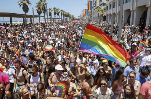 Mit dem Marsch am Freitag forderten die Teilnehmer gleiche Rechte für Schwule, Lesben, Bi- und Transsexuelle (LGBT). Foto: dpa/Ariel Schalit