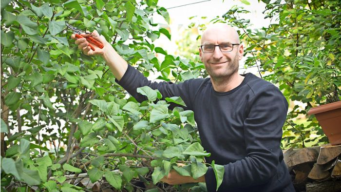 Gartenberater Sven Görlitz gibt Tipps: Klimaveränderung fordert mehr Grün  im Schwarzwald und auf der Baar
