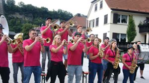 Pink Pämpärs spielten im vergangenen Jahr mit viel Begeisterung am Neckarstrand. Foto: Vögele