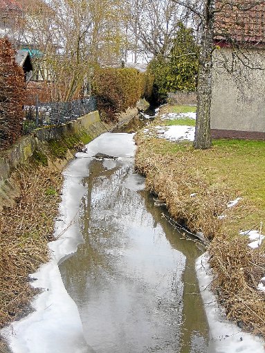 Gemütlich plätschert der Tössebach an der Linde vorbei durch das Dorf Neudingen – ein kleines Gewässer, um das es jetzt große Diskussionen gibt.  Foto: Spitz Foto: Schwarzwälder-Bote