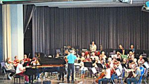 Das Lehrer-Sinfonie-Orchester hat in der Stadthalle für junge Gymnasiasten gespielt.  Foto: Privat Foto: Schwarzwälder-Bote